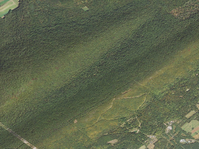 Aerial image of Tuscarora State Forest roadside campsite 044