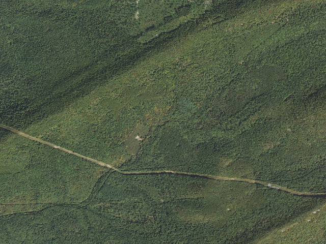 Aerial image of Tuscarora State Forest roadside campsite 047
