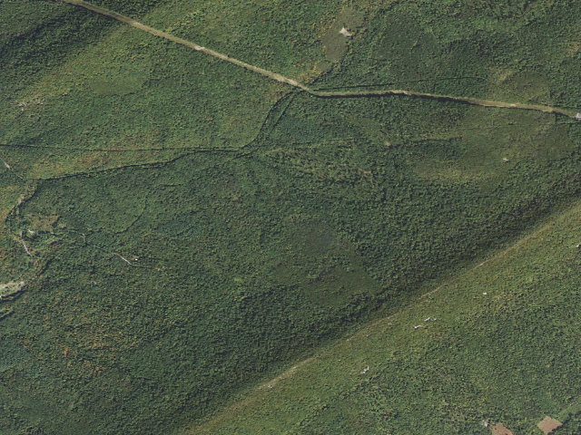 Aerial image of Tuscarora State Forest roadside campsite 051