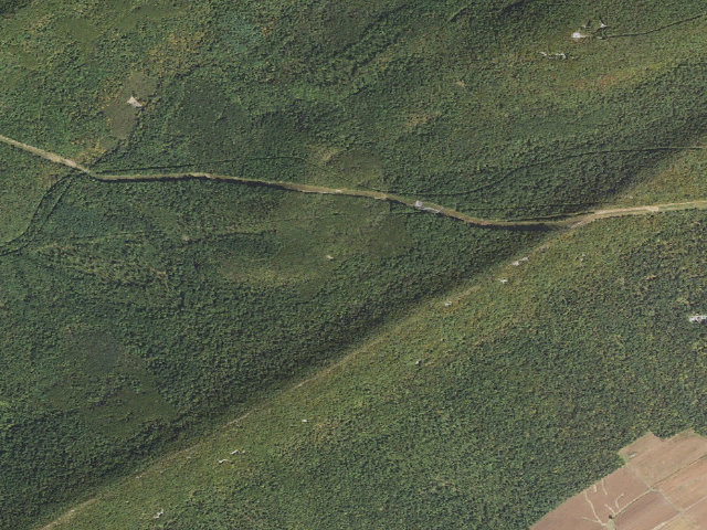 Aerial image of Tuscarora State Forest roadside campsite 053