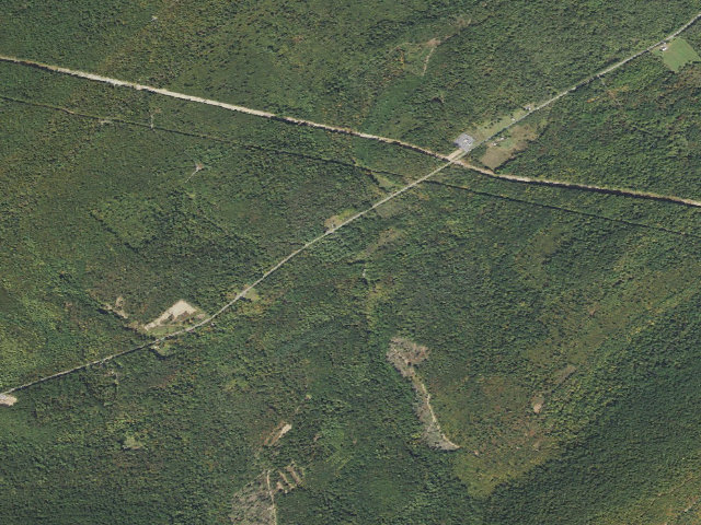 Aerial image of Tuscarora State Forest roadside campsite 057