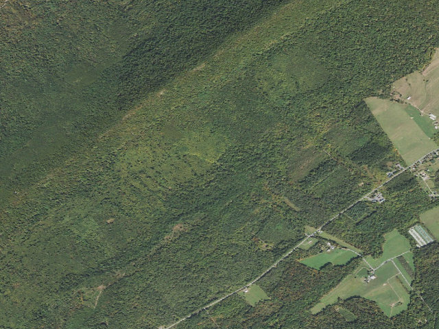 Aerial image of Tuscarora State Forest roadside campsite 058