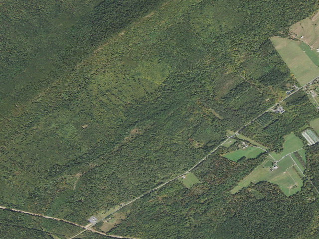 Aerial image of Tuscarora State Forest roadside campsite 059