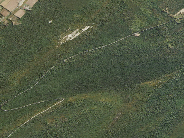 Aerial image of Tuscarora State Forest roadside campsite 063