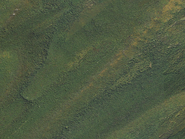 Aerial image of Tuscarora State Forest roadside campsite 064
