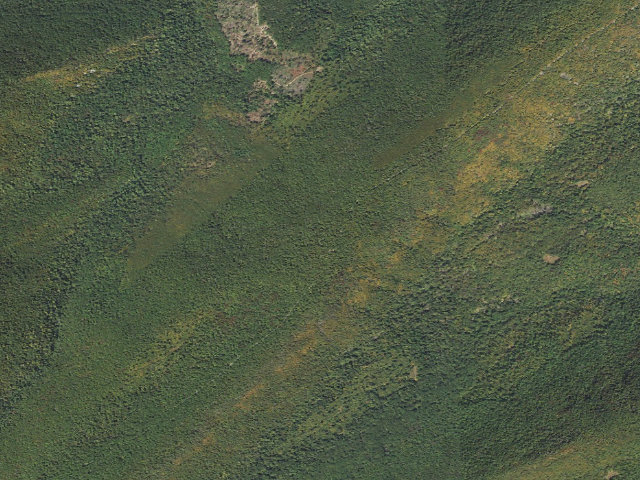 Aerial image of Tuscarora State Forest roadside campsite 065