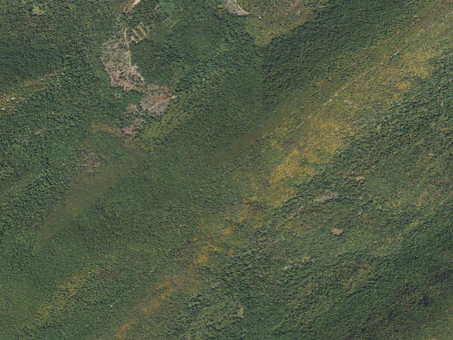 Aerial image of Tuscarora State Forest roadside campsite 066