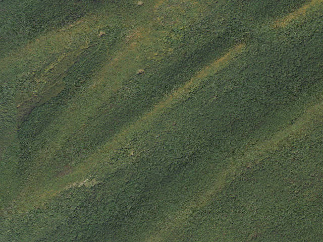 Aerial image of Tuscarora State Forest roadside campsite 070