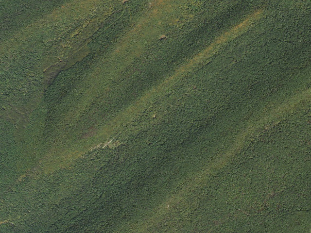 Aerial image of Tuscarora State Forest roadside campsite 071