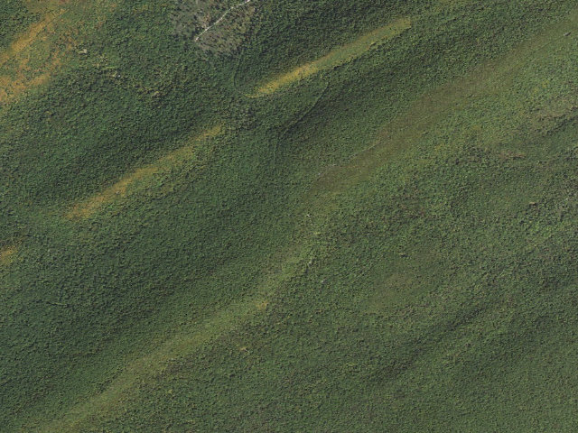 Aerial image of Tuscarora State Forest roadside campsite 074