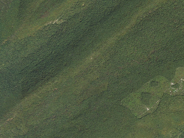 Aerial image of Tuscarora State Forest roadside campsite 077