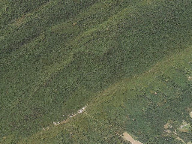 Aerial image of Tuscarora State Forest roadside campsite 080