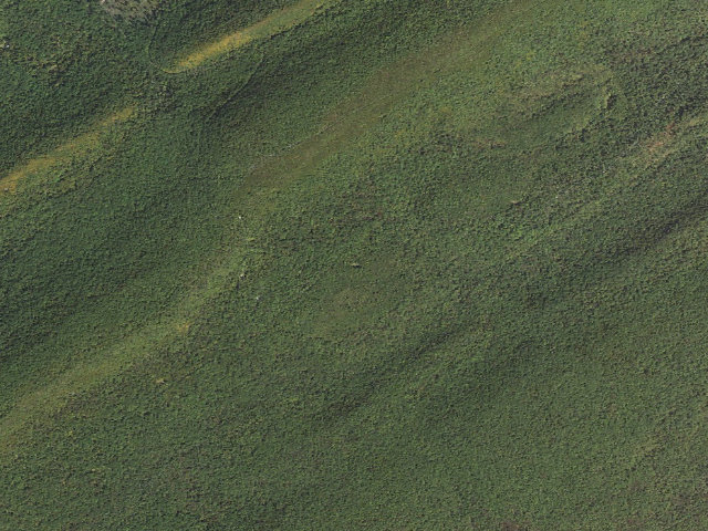 Aerial image of Tuscarora State Forest roadside campsite 081