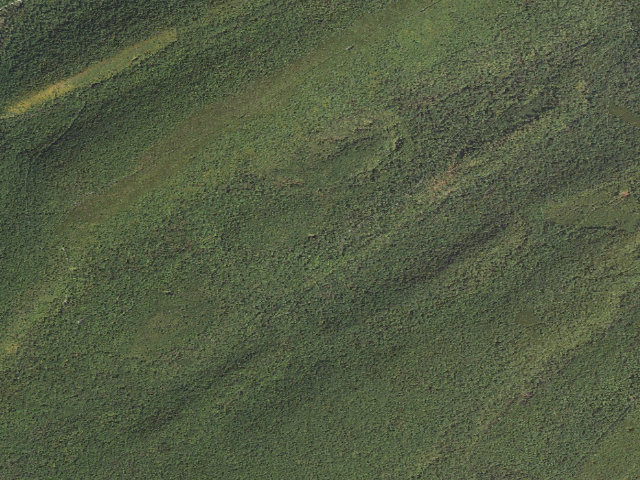 Aerial image of Tuscarora State Forest roadside campsite 082