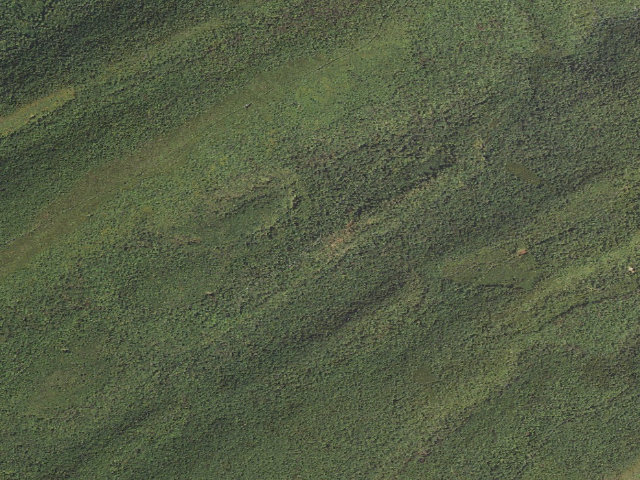 Aerial image of Tuscarora State Forest roadside campsite 084