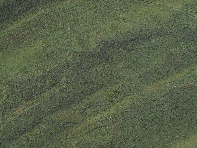 Aerial image of Tuscarora State Forest roadside campsite 085