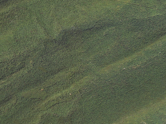 Aerial image of Tuscarora State Forest roadside campsite 086