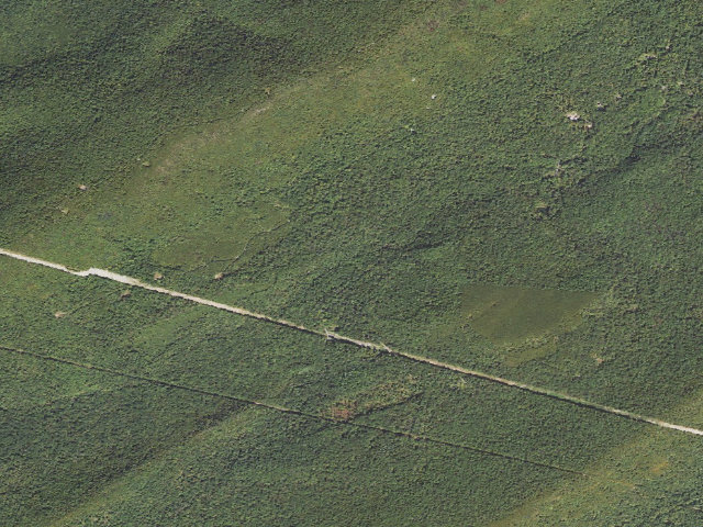 Aerial image of Tuscarora State Forest roadside campsite 088