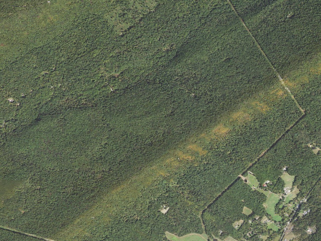 Aerial image of Tuscarora State Forest roadside campsite 090