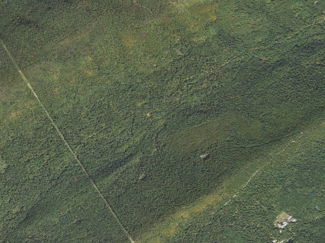 Aerial image of Tuscarora State Forest roadside campsite 091