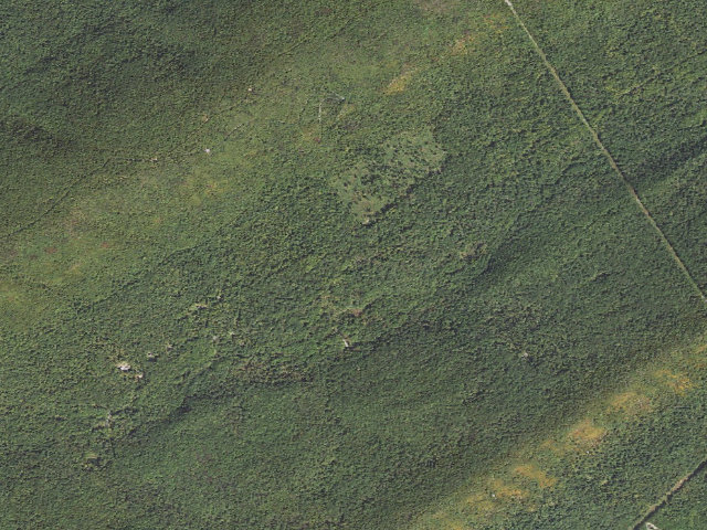 Aerial image of Tuscarora State Forest roadside campsite 092