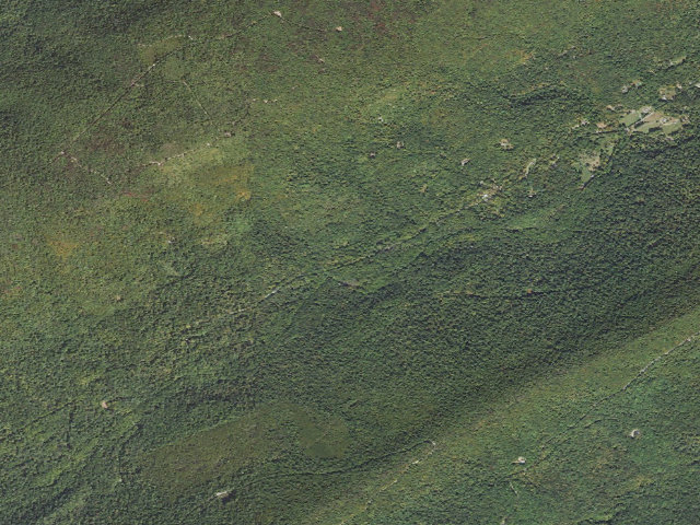 Aerial image of Tuscarora State Forest roadside campsite 094