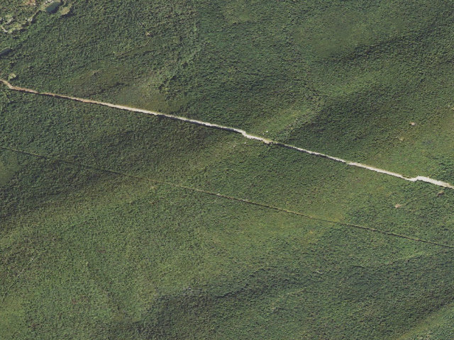 Aerial image of Tuscarora State Forest roadside campsite 101