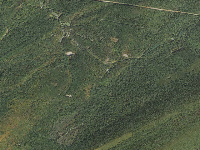 Aerial image of Tuscarora State Forest roadside campsite S001 (Showaker Camping Area)