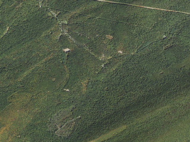 Aerial image of Tuscarora State Forest roadside campsite S002 (Showaker Camping Area)