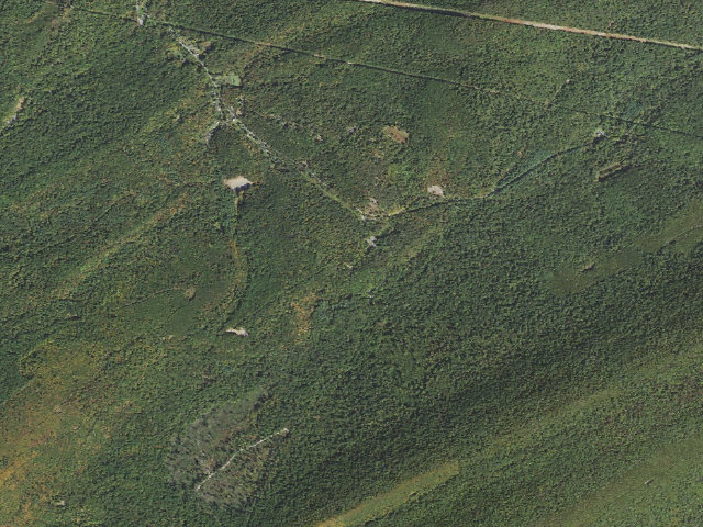 Aerial image of Tuscarora State Forest roadside campsite S003 (Showaker Camping Area)