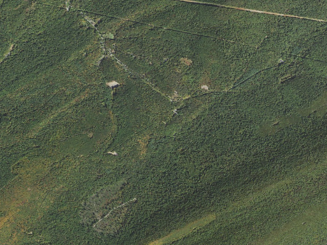 Aerial image of Tuscarora State Forest roadside campsite S004 (Showaker Camping Area)