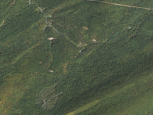Aerial image of Tuscarora State Forest roadside campsite S005 (Showaker Camping Area)