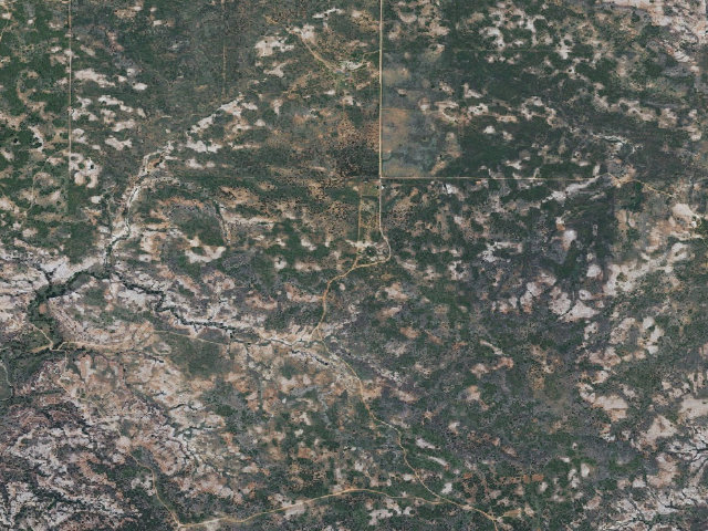 Aerial image of TW Camp (Sandy Sanders WMA)