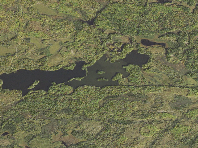 Aerial image of Twin Lake Site 1