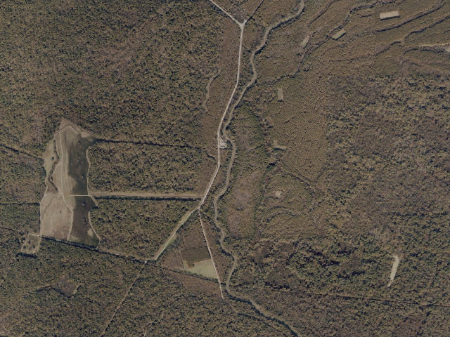 Aerial image of Twin Oaks WMA camp site 1