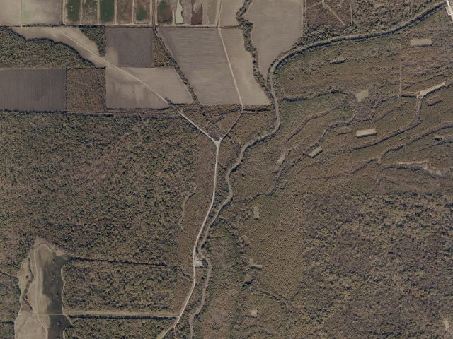 Aerial image of Twin Oaks WMA camp site 2
