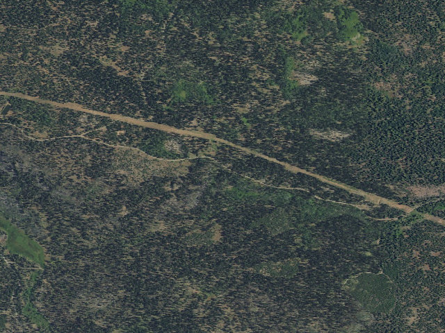 Aerial image of Twin Springs Forest Camp
