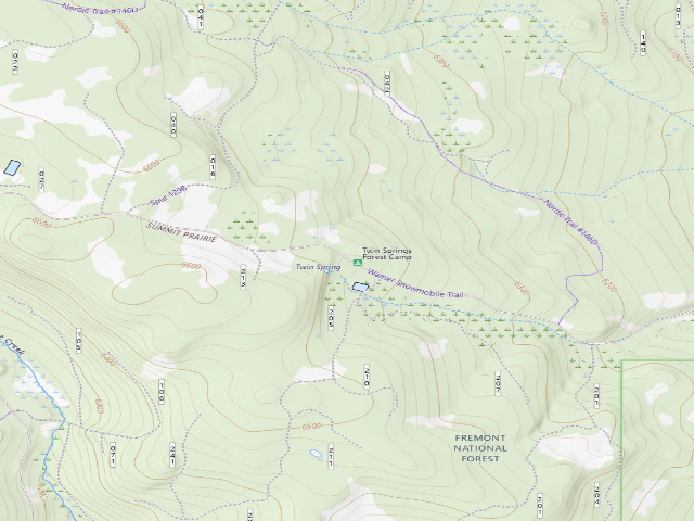 USGS topographic map of Twin Springs Forest Camp