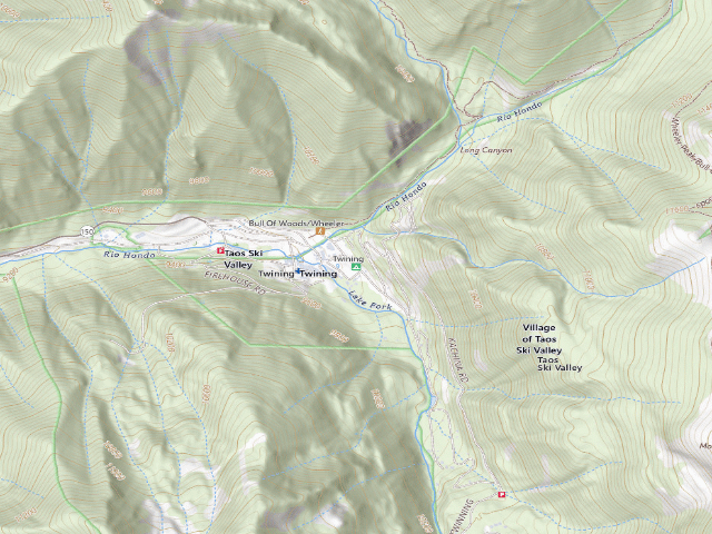 USGS topographic map of Twining