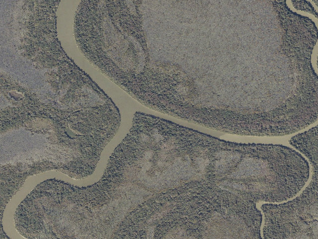 Aerial image of Two Rivers Point Campsite (Bartram Canoe Trail, Upper Mobile-Tensaw Delta)