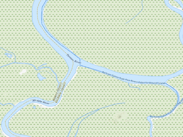 USGS topographic map of Two Rivers Point Campsite (Bartram Canoe Trail, Upper Mobile-Tensaw Delta)