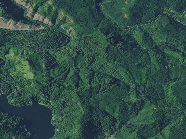 Aerial image of Umpqua Field Office