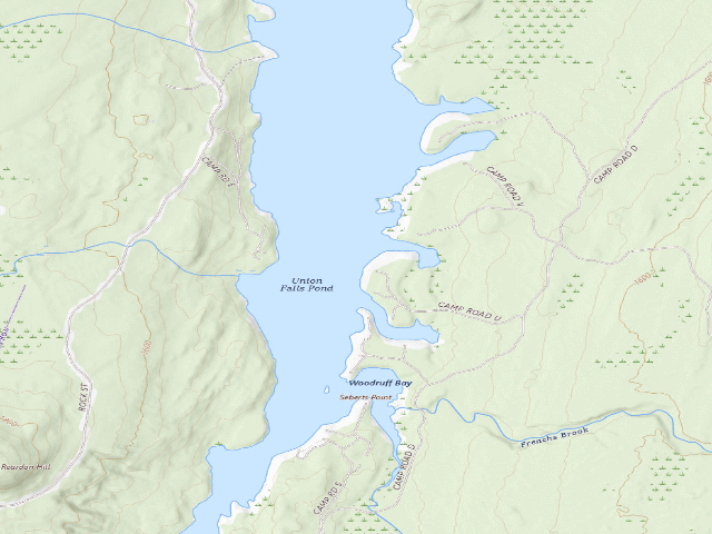 USGS topographic map of Union Falls Campsite (water-access) [DEC #12440] (Taylor Pond Wild Forest)