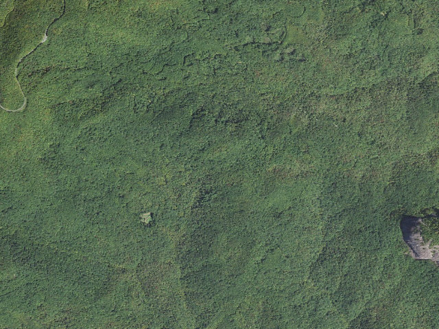 Aerial image of Upper Cove Creek Roadside Campsites
