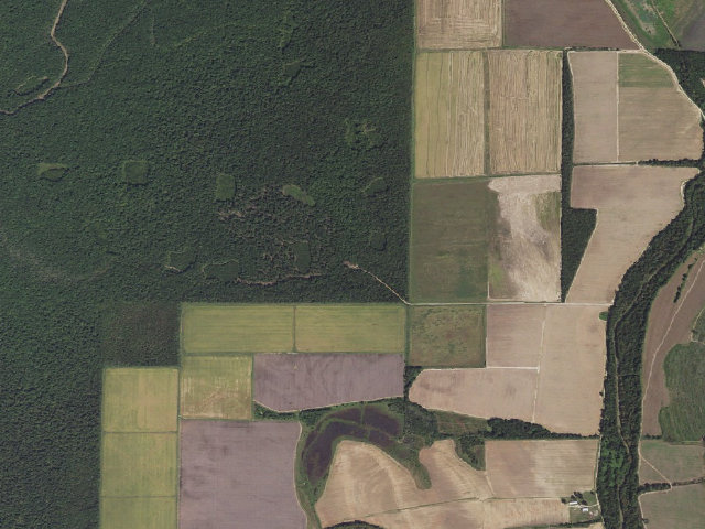 Aerial image of Upper East Camping Area