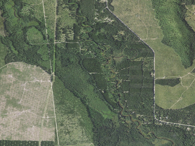 Aerial image of Upper Manistee River State Forest Campground and Canoe Camp