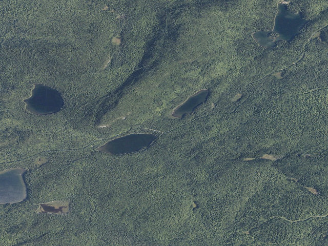 Aerial image of Upper Pond (Deboullie Public Land)