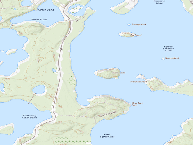 USGS topographic map of Upper Saranac Lake Site 1 (Saranac Lakes Wild Forest)
