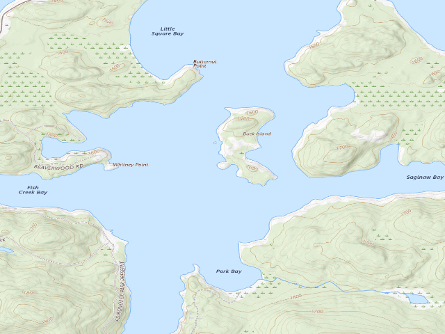USGS topographic map of Upper Saranac Lake Site 11 (Saranac Lakes Wild Forest)