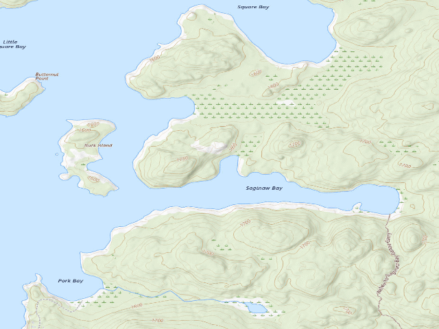 USGS topographic map of Upper Saranac Lake Site 12 (Saranac Lakes Wild Forest)